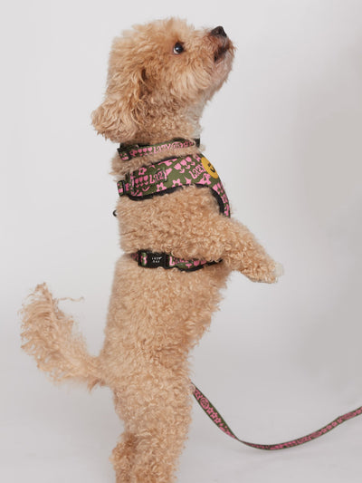 Walkies Dog Harness