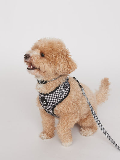 Happy Sad Gingham Dog Lead