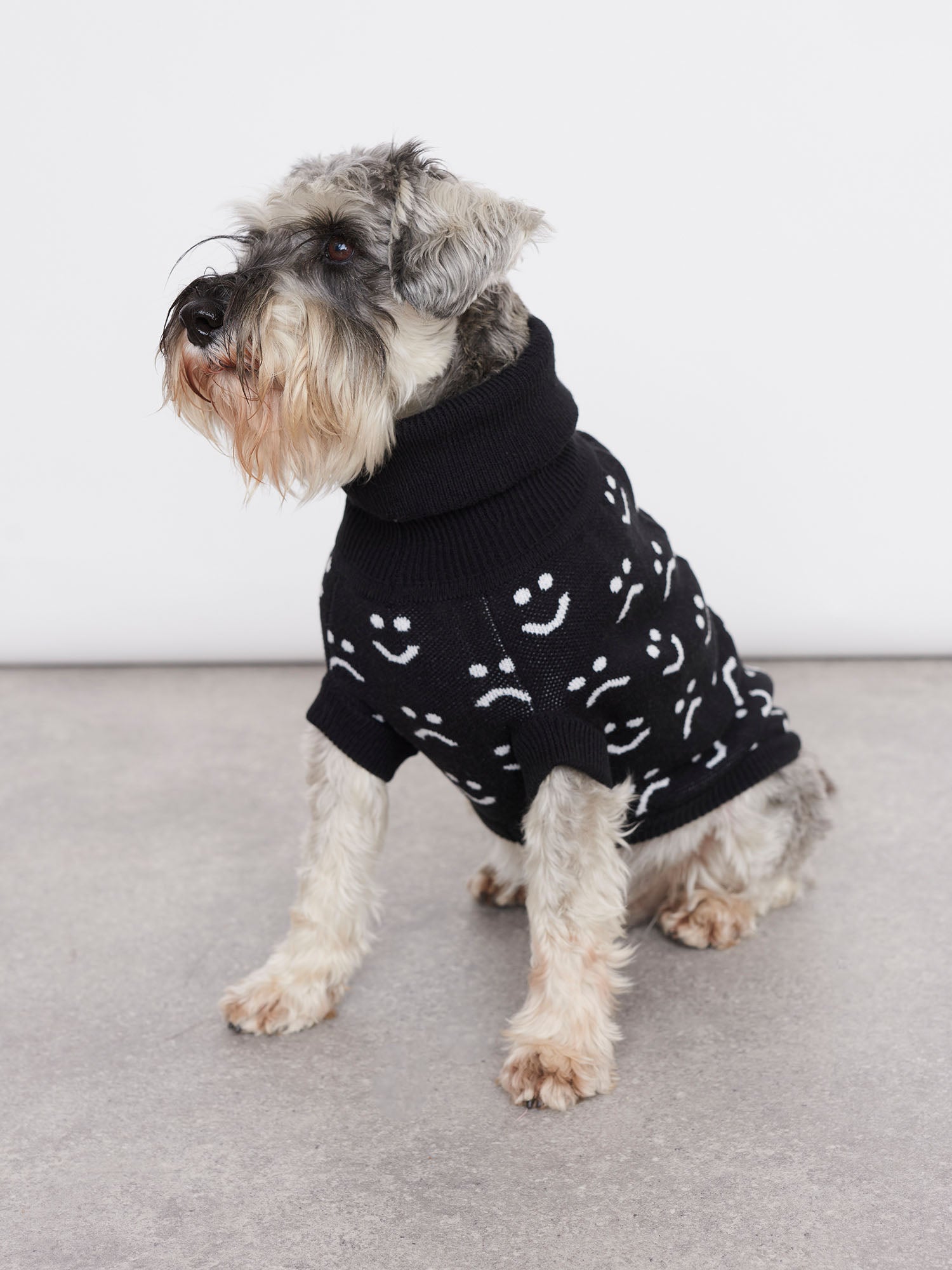 Dog sweaters store for miniature schnauzers